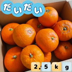 福岡県産 橙(だいだい)2. 5kg ★今期最後の出品★