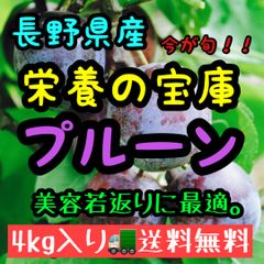 フォロワー様クーポン付き😍長野県産生プルーン！激安品！約4kg入🚚クール便送料無料🚚プルーン
