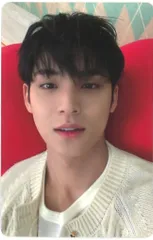 SEVENTEEN CARAT盤 MINGYU あいのちから