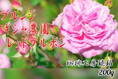 ブルンジ ギシャ農園 レッドブルボン 自家焙煎珈琲豆200g