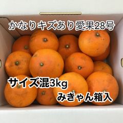 えひめ県産　かなりキズあり愛果28号(まどんな) サイズ混　3kg みきゃん箱入