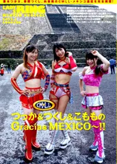 2025年最新】女子プロレス ポスターの人気アイテム - メルカリ