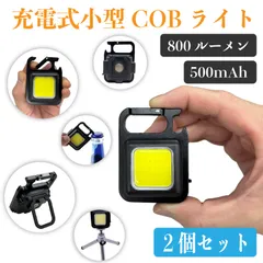 スピード発送 小型 タイプC充電式 LED ワークライト ２個セット 最大800ルーメン 容量500mAh 約37g 軽量 ミニLED COBライト カラビナ マグネット付き アウトドア キャンプ 防災 キーホルダー式 マルチライト 点滅 緊急照明 作業灯