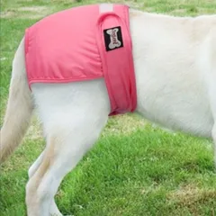 犬用 小型 中型 大型 ピンク マナーウェア サニタリーパンツ ペットケア用品 おむつ F2