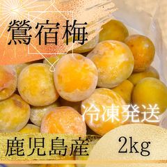 鶯宿梅】完熟梅 2キロ 鹿児島産 サイズ無選別 冷凍便 - メルカリ