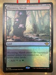 mtg 量子の謎かけ屋　3枚セット ミントモール / MINT GAMES MTG(東日本橋) / 【EOE】【JPN