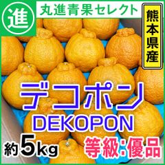 【甘味と程よい酸味】デコポン　熊本県産　約5kg　等級優以上　Lサイズ　18玉 丸進青果セレクト