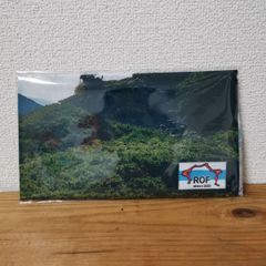 日本手ぬぐい『白馬』(税送込)