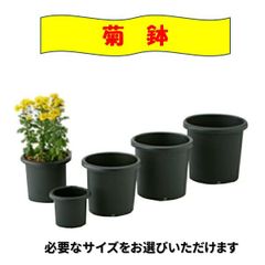 春の植替えに。根っこつよし 9号20個、8号10個 とリキダス800mlセット 根っこつよし 5号、7号、8号、9号、10号 とリキダス800mlセット - メルカリ