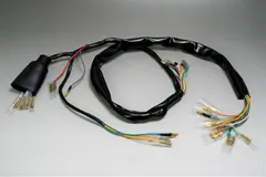 スーパーカブ50 AA01FI エンジン　ハーネス スーパーカブ50 AA01FI エンジンハーネス