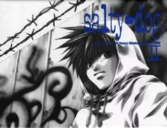 【匿名配送】峰倉かずや 画集 salty-dog Ⅰ〜Ⅸ Amazon.co.jp: salty-dog X (イラスト集) : 峰倉 かずや: 本