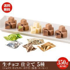 訳あり 生チョコ 仕立て 5種類 350ｇ （約70粒）セット  送料無料 ポスト投函便 チョコ ショコラ