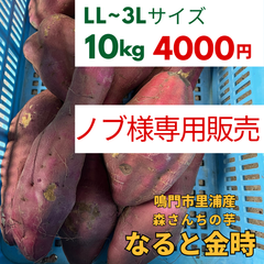 なると金時さつまいも 【１０ｋｇ】徳島県鳴門市里浦産 生産者直送