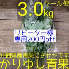 〈リピーター様専用200円off〉沖縄県産　フーチバー（ニシヨモギ）　約３kg  【クール便】④