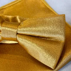 蝶ネクタイ ポケットチーフ 結婚式 新郎 親族 イエロー マスタード 無地 卒園式 卒業式 入学式 二次会 パーティ n15