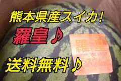 熊本県産すいか　羅皇（ラオウ）ザ・スイート　2Lサイズ