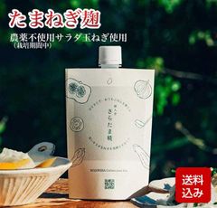 たまねぎ麹 無添加 170g 農薬不使用のサラダ玉ねぎ使用 発酵調味料 タマネギ麹メール便