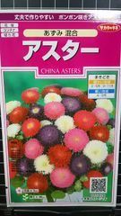 アスター あずみ 混合 ポンポン 種３袋セット