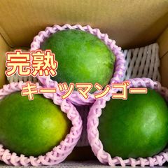 沖縄 豊見城産 【完熟】キーツマンゴー