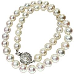 ★★最終特価品 アコヤ真珠8.5～9.0mm ネックレス シルバー 46.5g 44cm レディース 【中古】【真子質店】【NN】