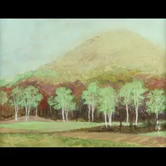 平岩洋彦、【渓】、希少な大判額装用画集より、美品、日本人画家、新品額装付 Yahoo!オークション - 平岩洋彦 【渓】 希少な大判額装用画集