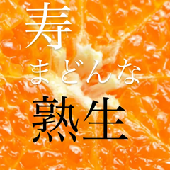 寿まどんな　熟生　蔵出し　10キロ