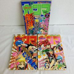 【当時物】コミックガンマ　95年.96年　vol28.29.30三冊セット 　影技 SHADOWSKILL　 忍ザード　英雄伝説　超犬リーグ　電脳戦隊ヴギィズ・エンジェル　AYY6-7E
