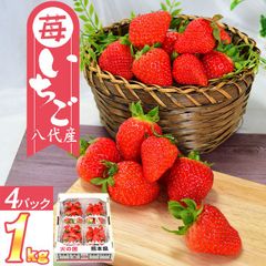 熊本県八代産 いちご ゆうべに 4パック 一箱 1kg入り 【送料無料】