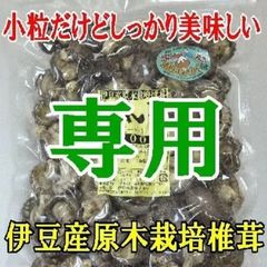 ★おかぴ☆様専用★追加同梱発送割引価格★伊豆産原木栽培の上質一寸どんこ200ｇ