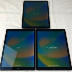 iPad（ジャンク含）
