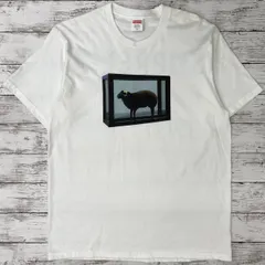 Supreme Damien Hirst Tee White/シュプリーム ダミアン・ハースト Tシャツ/ホワイト系 白/コットン 綿/表記サイズ:175/96A (M)/ 服飾 (68-2025-0620-KO-003)