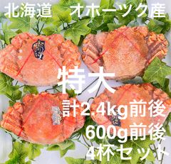 残わずか！北海道オホーツク産 毛蟹600g前後×4杯セット　2.4kg前後