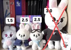 リービット　まとめ売り SKZOO StrayKids リービット まとめ - メルカリ