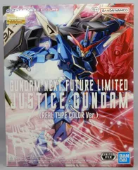 Mg ジャスティスガンダム リアルタイプカラー METAL ROBOT魂 ＜SIDE MS＞ ジャスティスガンダム(リアルタイプ