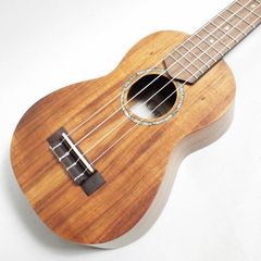 Item thumbnail for item ef22c4d7-77c8-44fa-a743-d3472b51dd6e