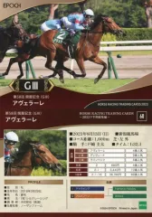 ホースレーシングカード 直筆サイン 横山和生 べラジオオペラ サラブレッド ホースレーシングカード直筆サイン横山和生べラジオオペラ
