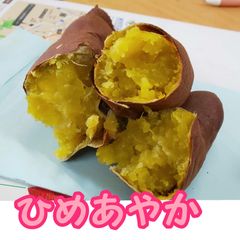 ひめあやか 5キロ さつまいも 小