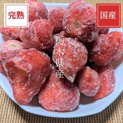 いちご 《 業務用 関東・南東北・新潟限定 》 冷凍いちご 品種大きさ色々 1000kg 栃木県産 イチゴ 苺 いちご 完熟  国産