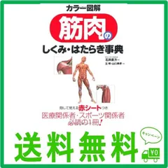 2024年最新】カラー図解 筋肉のしくみ・はたらき事典の人気アイテム