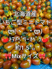 いちご型トマト✨️トマトベリーオペラ✨️北海道産