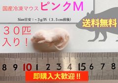 【送料無料】国産冷凍ピンクマウスM 30匹入@即購入OK！北海道・沖縄の方も送料無料です！