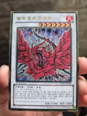 2025年最新】ブラック・ローズ・ドラゴン 韓国の人気アイテム