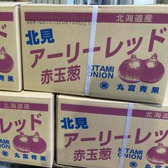 日本産　赤玉ねぎ（アーリーレッド） Ｍサイ　10ｋｇ