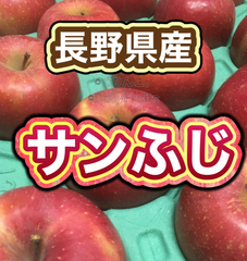 ③信州りんご　サンふじ®︎ 家庭向け　8-11入　箱込③キロ以上
