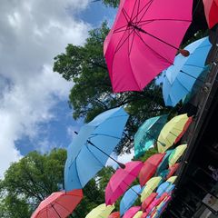 旧裏】オーダイル プレミアムファイル PROMO 第1世代 1996~1999 - メルカリ