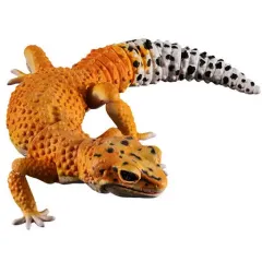 【中古】トレーディングフィギュア タンジェリン 「いきもの大図鑑アドバンス ヒョウモントカゲモドキ」のサムネイル