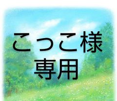 こっこ様専用です〜マルコロッシ小2つ