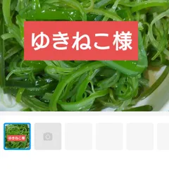 三陸産剣山引き茎わかめW