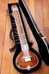 2025年最新】シタール エレクトリックの人気アイテム - メルカリ