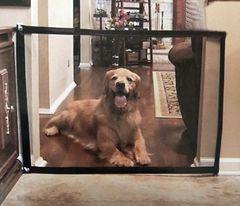 Item thumbnail for item 406a1515-3b1f-4b68-a621-86e37c1031ed